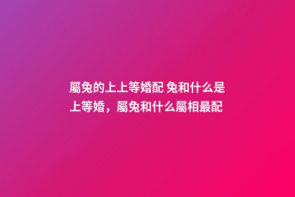 屬兔的上上等婚配 兔和什么是上等婚，屬兔和什么屬相最配-第1張-觀點-玄機派